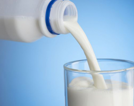 Farmers in Chitwan dissatisfied with decision to import milk from India